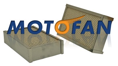 24295